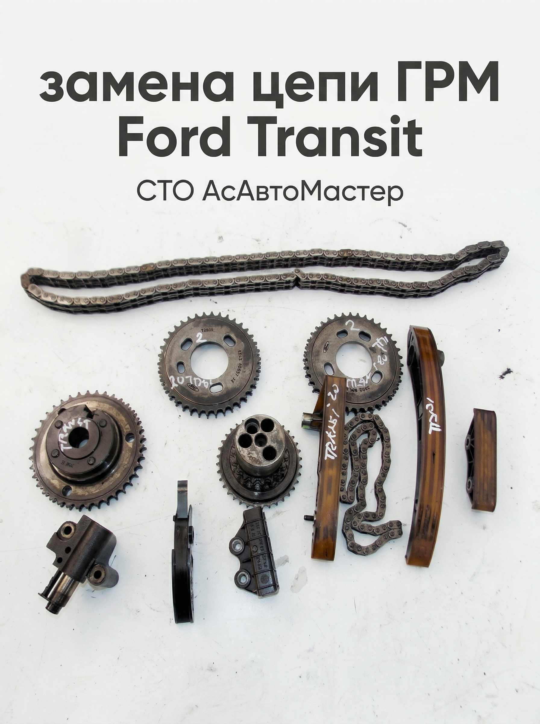 Замена цепи ГРМ Ford Transit
